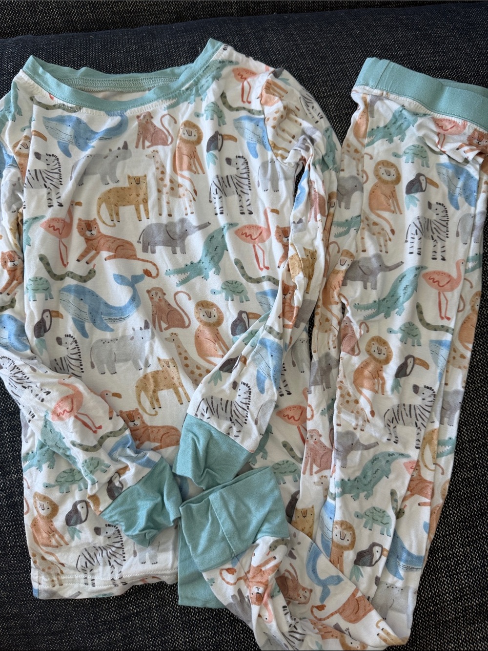 Kids Animal-Print Pajama Set with Light Blue Trim